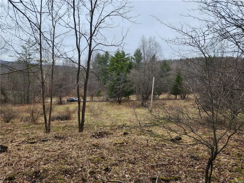 6220 Feenaughty Hill Road S, Howard, New York 1482, Howard, New York 14823, ,Land,For Sale,6220 Feenaughty Hill Road S, Howard, New York 1482,0,R1647730