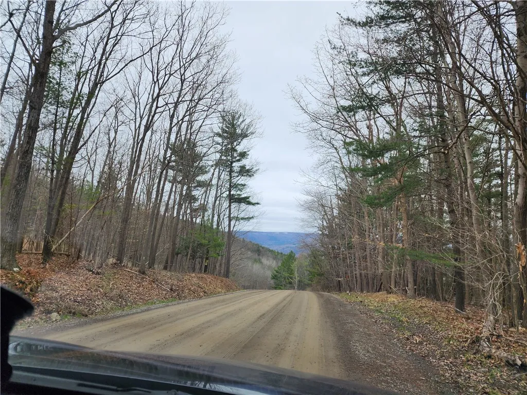 6220 Feenaughty Hill Road S, Howard, New York 1482, Howard, New York 14823, ,Land,For Sale,6220 Feenaughty Hill Road S, Howard, New York 1482,0,R1647730