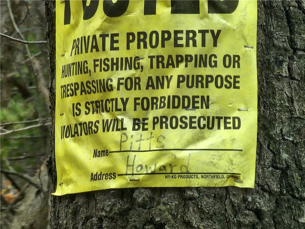 6220 Feenaughty Hill Road S, Howard, New York 1482, Howard, New York 14823, ,Land,For Sale,6220 Feenaughty Hill Road S, Howard, New York 1482,0,R1647730