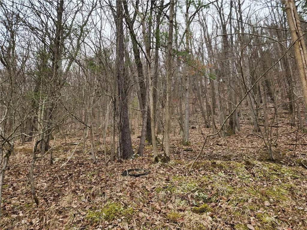 6220 Feenaughty Hill Road S, Howard, New York 1482, Howard, New York 14823, ,Land,For Sale,6220 Feenaughty Hill Road S, Howard, New York 1482,0,R1647730