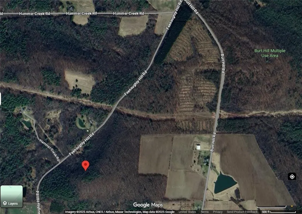 6220 Feenaughty Hill Road S, Howard, New York 1482, Howard, New York 14823, ,Land,For Sale,6220 Feenaughty Hill Road S, Howard, New York 1482,0,R1647730