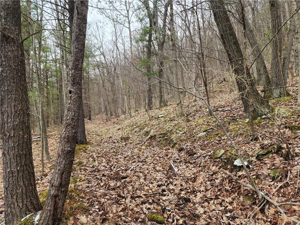 6220 Feenaughty Hill Road S, Howard, New York 1482, Howard, New York 14823, ,Land,For Sale,6220 Feenaughty Hill Road S, Howard, New York 1482,0,R1647730