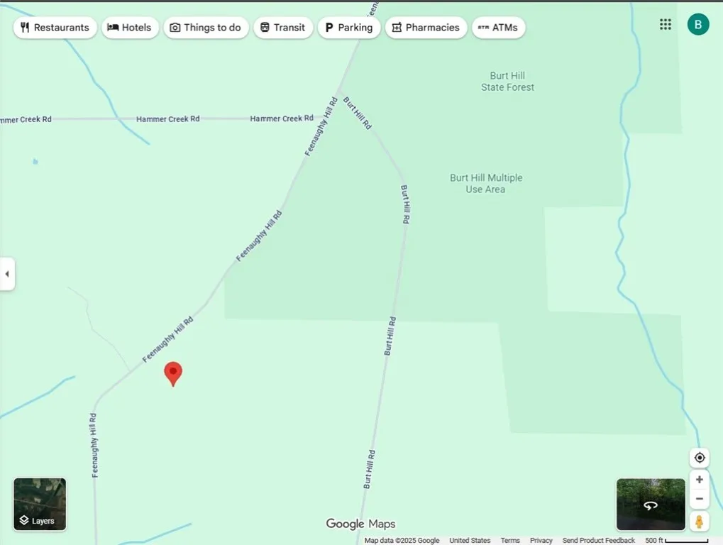 6220 Feenaughty Hill Road S, Howard, New York 1482, Howard, New York 14823, ,Land,For Sale,6220 Feenaughty Hill Road S, Howard, New York 1482,0,R1647730