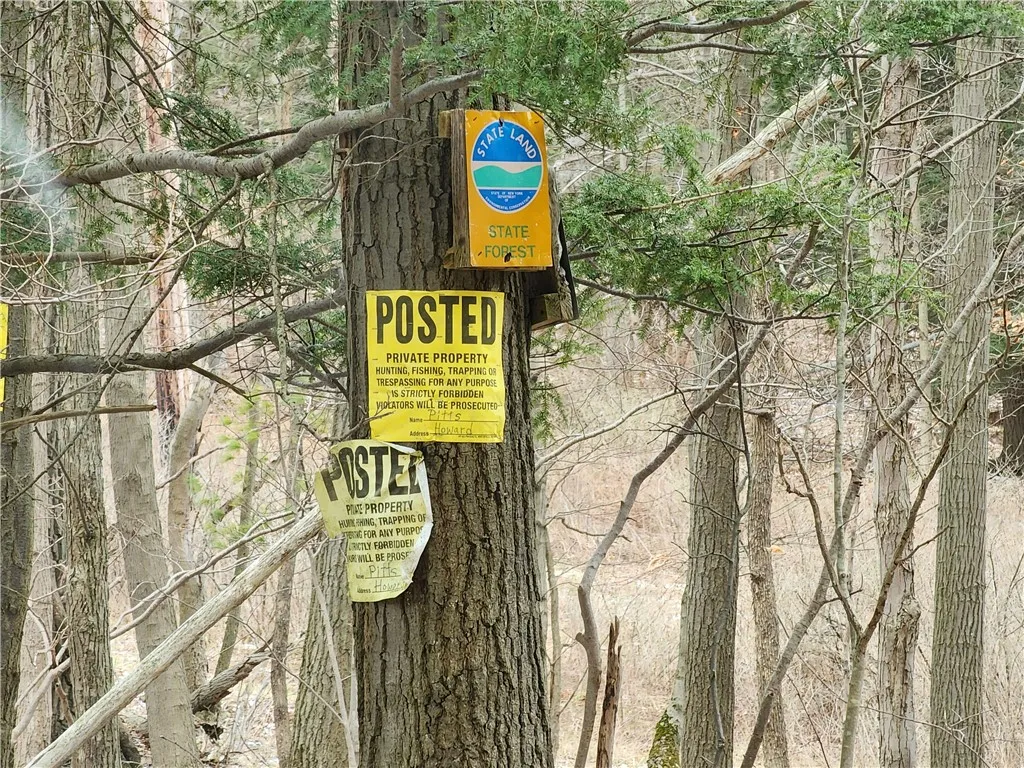 6220 Feenaughty Hill Road S, Howard, New York 1482, Howard, New York 14823, ,Land,For Sale,6220 Feenaughty Hill Road S, Howard, New York 1482,0,R1647730