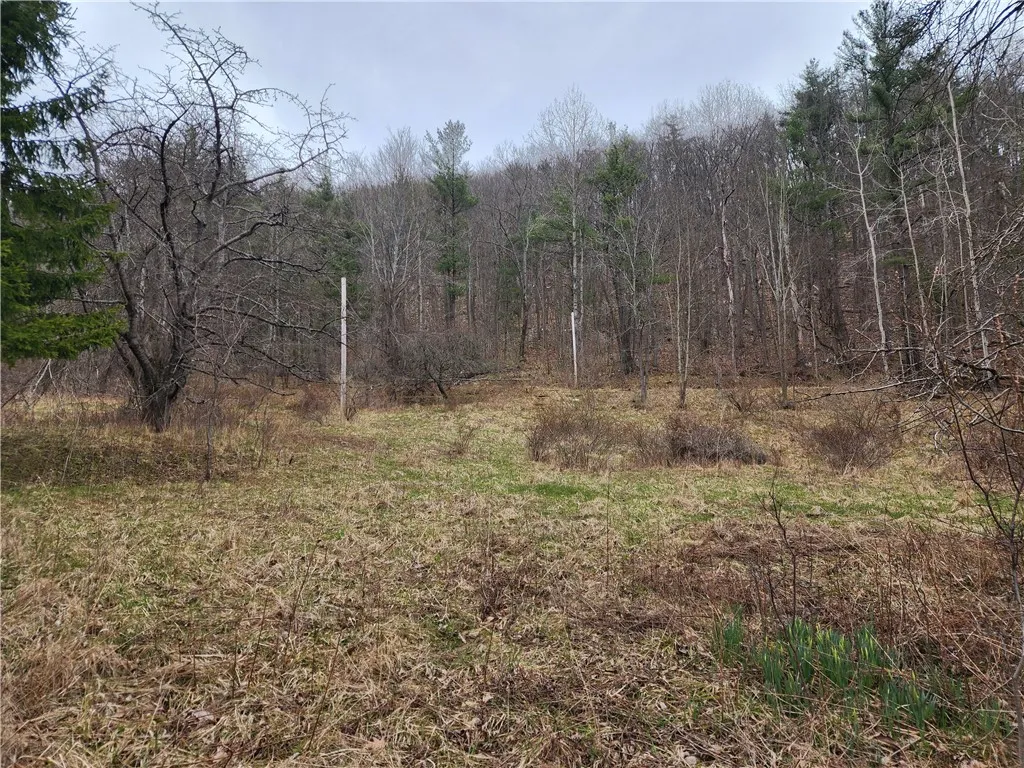 6220 Feenaughty Hill Road S, Howard, New York 1482, Howard, New York 14823, ,Land,For Sale,6220 Feenaughty Hill Road S, Howard, New York 1482,0,R1647730
