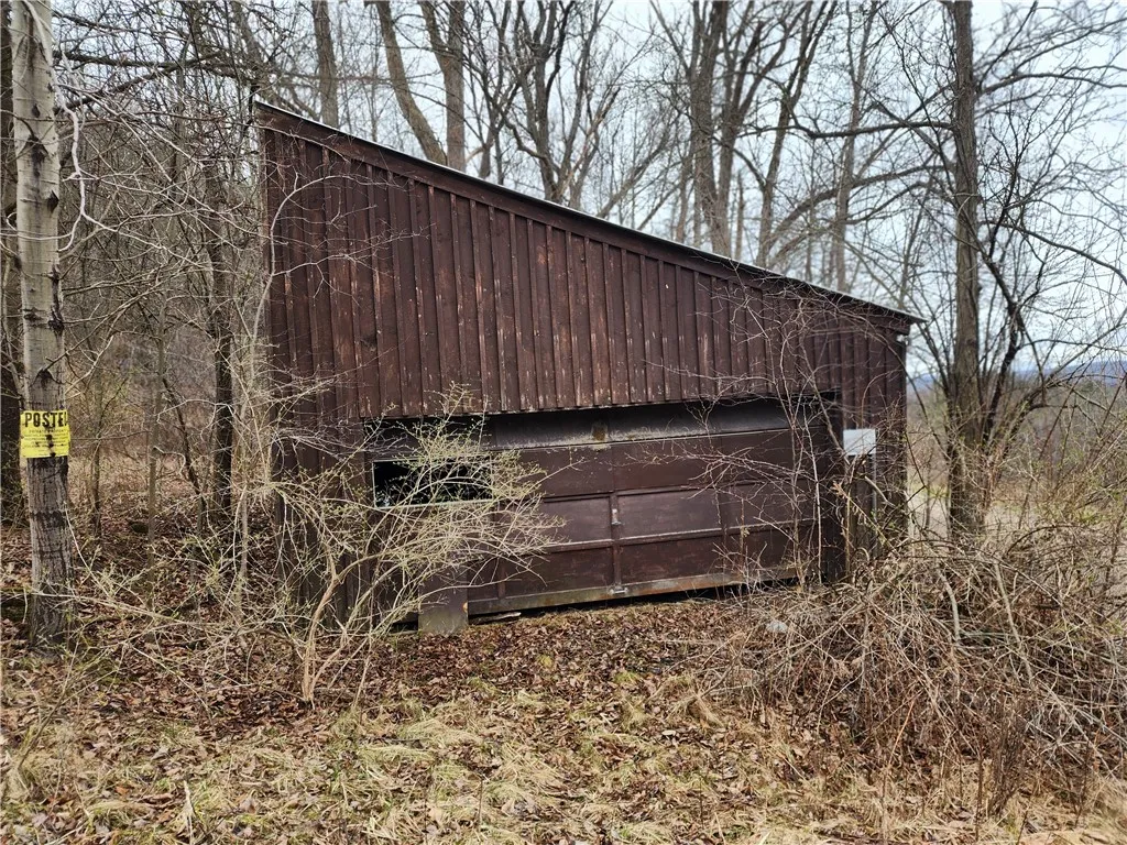 6220 Feenaughty Hill Road S, Howard, New York 1482, Howard, New York 14823, ,Land,For Sale,6220 Feenaughty Hill Road S, Howard, New York 1482,0,R1647730