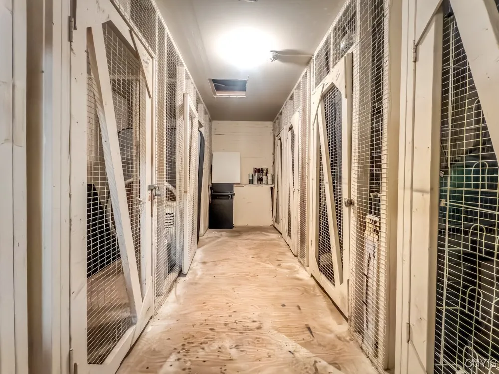 917 Madison Street 5, Syracuse, New York 13210, Syracuse, New York 13210, 2 Bedrooms Bedrooms, 6 Rooms Rooms,1 BathroomBathrooms,Residential Lease,For Rent,917 Madison Street 5, Syracuse, New York 13210,0,S1647720