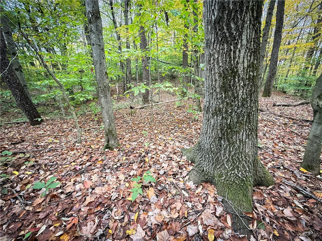 0 Trout Brook Drive, Orwell, New York 13144, Orwell, New York 13144, ,Land,For Sale,0 Trout Brook Drive, Orwell, New York 13144,0,R1647750