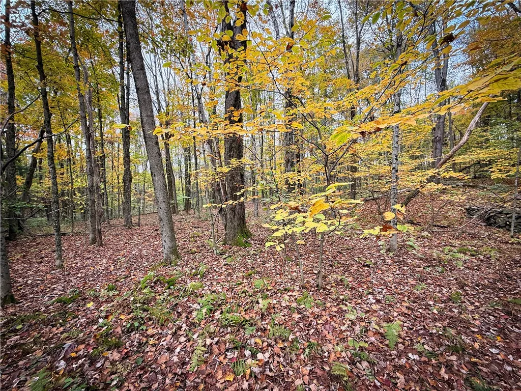 0 Trout Brook Drive, Orwell, New York 13144, Orwell, New York 13144, ,Land,For Sale,0 Trout Brook Drive, Orwell, New York 13144,0,R1647750