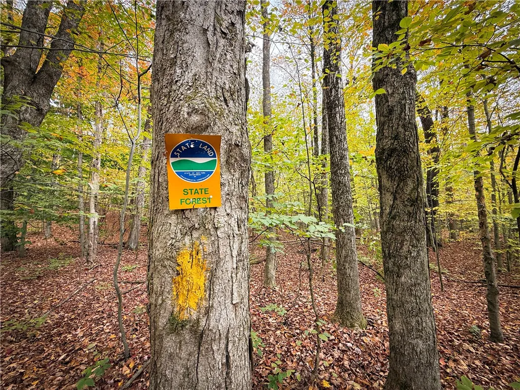 0 Trout Brook Drive, Orwell, New York 13144, Orwell, New York 13144, ,Land,For Sale,0 Trout Brook Drive, Orwell, New York 13144,0,R1647750