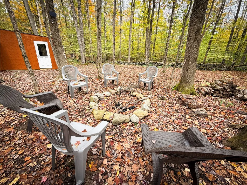 0 Trout Brook Drive, Orwell, New York 13144, Orwell, New York 13144, ,Land,For Sale,0 Trout Brook Drive, Orwell, New York 13144,0,R1647750