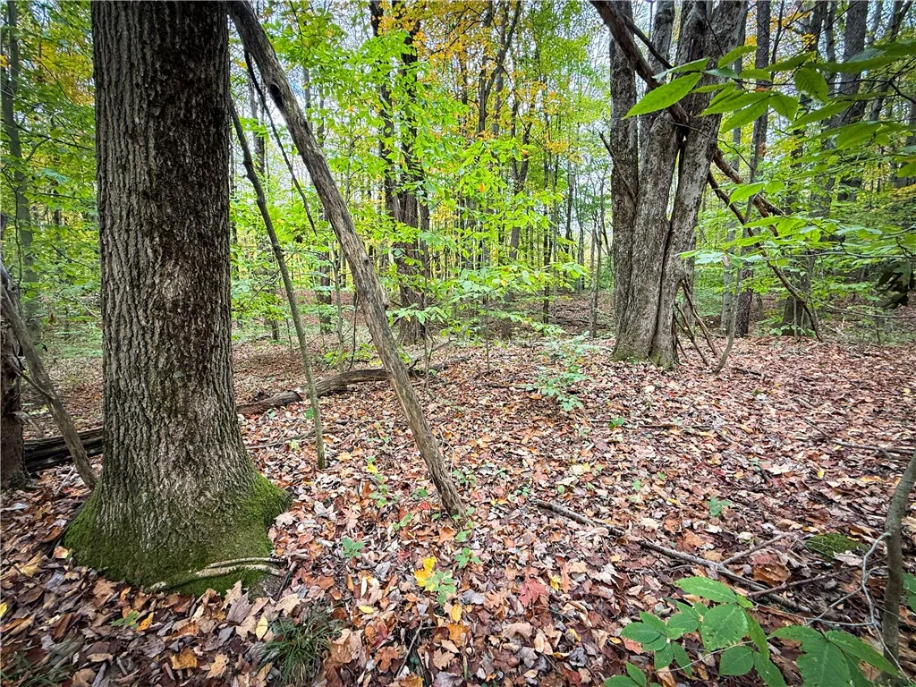 0 Trout Brook Drive, Orwell, New York 13144, Orwell, New York 13144, ,Land,For Sale,0 Trout Brook Drive, Orwell, New York 13144,0,R1647750