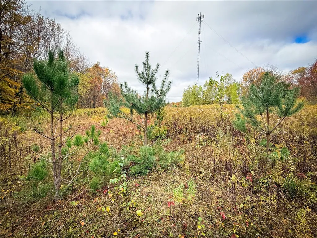 0 Trout Brook Drive, Orwell, New York 13144, Orwell, New York 13144, ,Land,For Sale,0 Trout Brook Drive, Orwell, New York 13144,0,R1647750