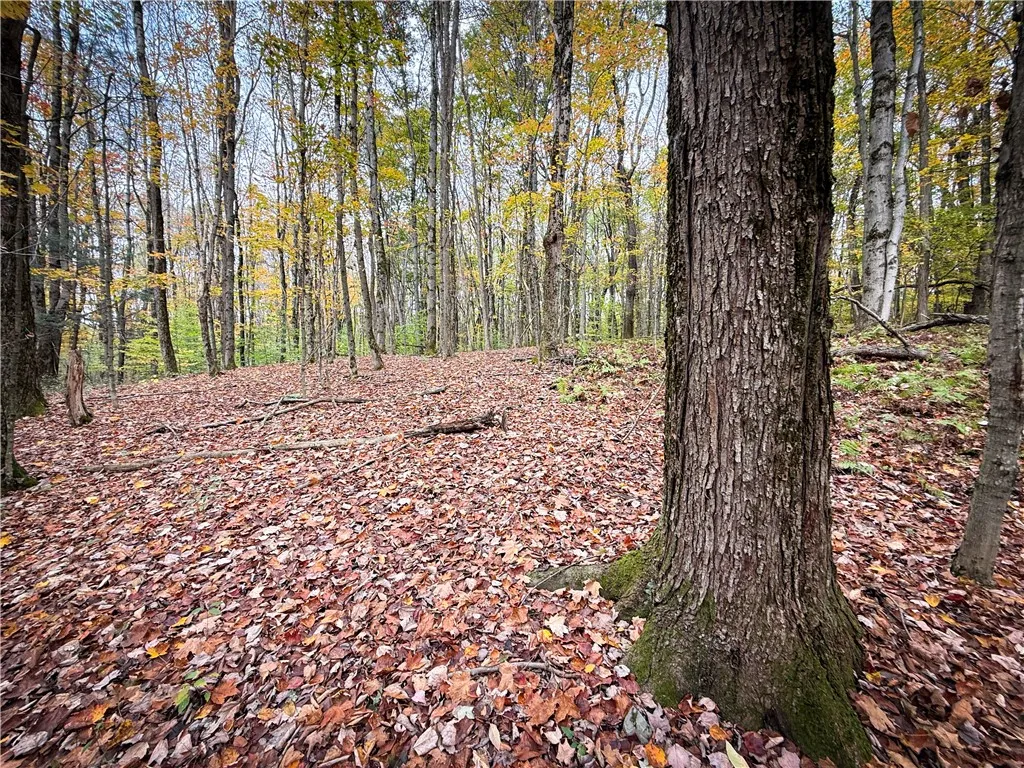 0 Trout Brook Drive, Orwell, New York 13144, Orwell, New York 13144, ,Land,For Sale,0 Trout Brook Drive, Orwell, New York 13144,0,R1647750