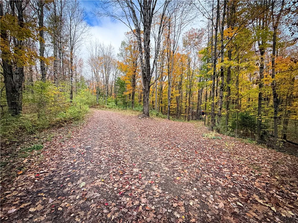 0 Trout Brook Drive, Orwell, New York 13144, Orwell, New York 13144, ,Land,For Sale,0 Trout Brook Drive, Orwell, New York 13144,0,R1647750