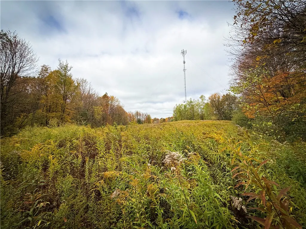 0 Trout Brook Drive, Orwell, New York 13144, Orwell, New York 13144, ,Land,For Sale,0 Trout Brook Drive, Orwell, New York 13144,0,R1647750