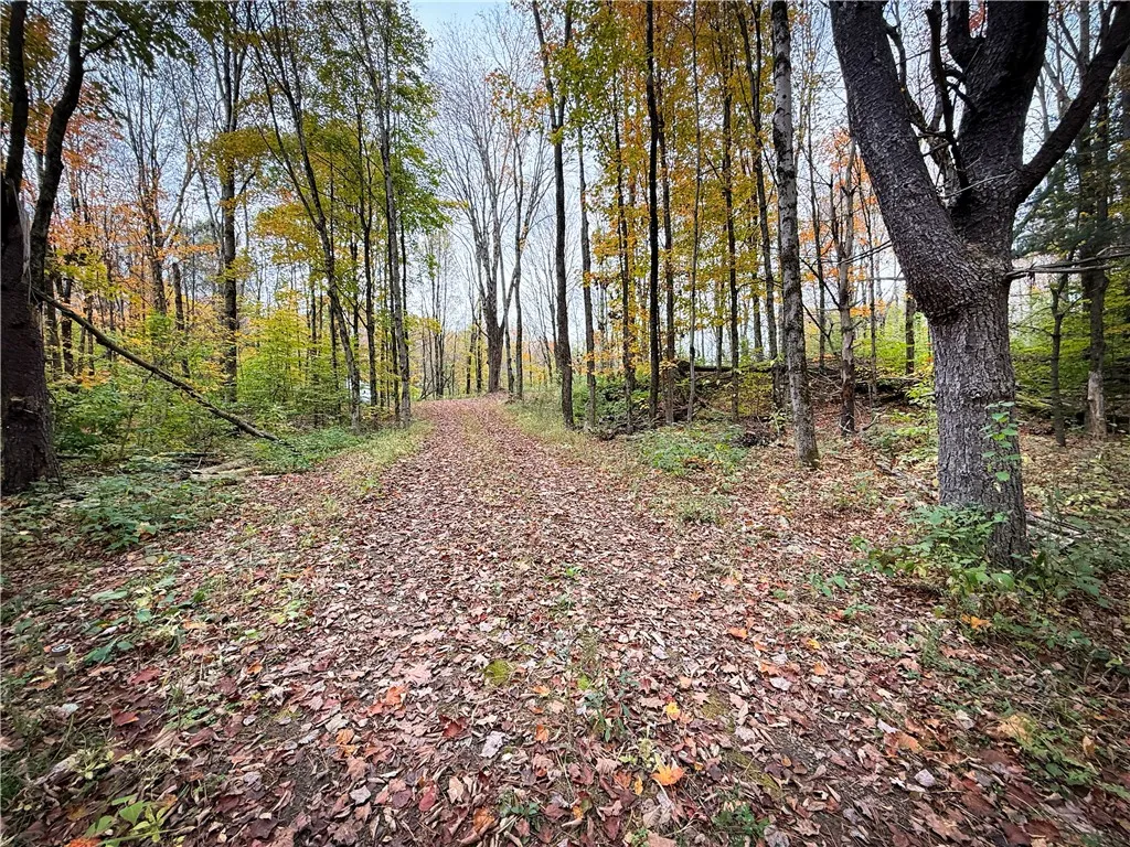 0 Trout Brook Drive, Orwell, New York 13144, Orwell, New York 13144, ,Land,For Sale,0 Trout Brook Drive, Orwell, New York 13144,0,R1647750