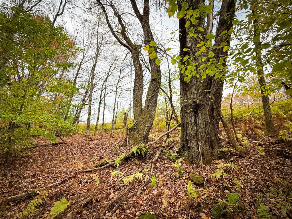 0 Trout Brook Drive, Orwell, New York 13144, Orwell, New York 13144, ,Land,For Sale,0 Trout Brook Drive, Orwell, New York 13144,0,R1647750