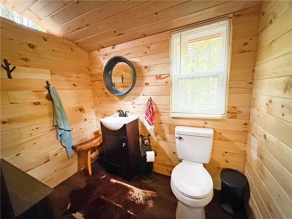 0 Trout Brook Drive, Orwell, New York 13144, Orwell, New York 13144, ,Land,For Sale,0 Trout Brook Drive, Orwell, New York 13144,0,R1647750