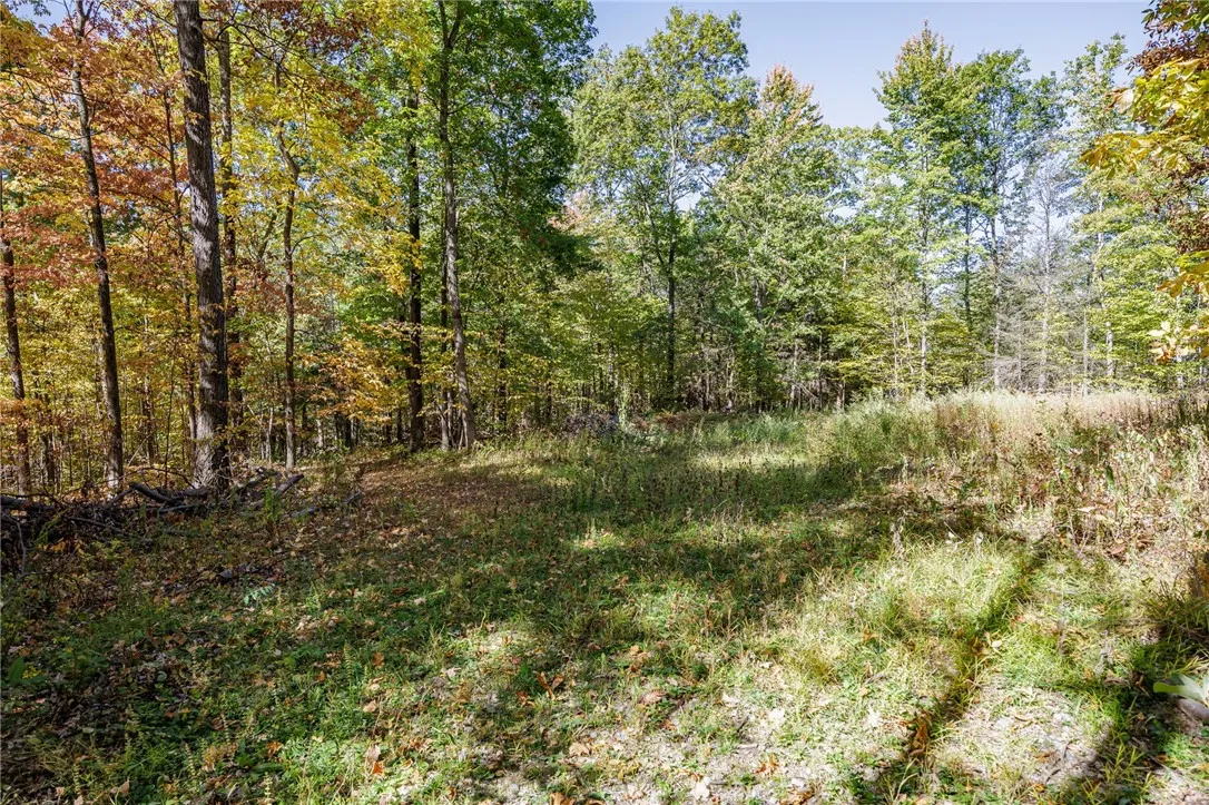 8302 Wesley Road, Richmond, New York 14471, Richmond, New York 14471, ,Land,For Sale,8302 Wesley Road, Richmond, New York 14471,0,R1646997