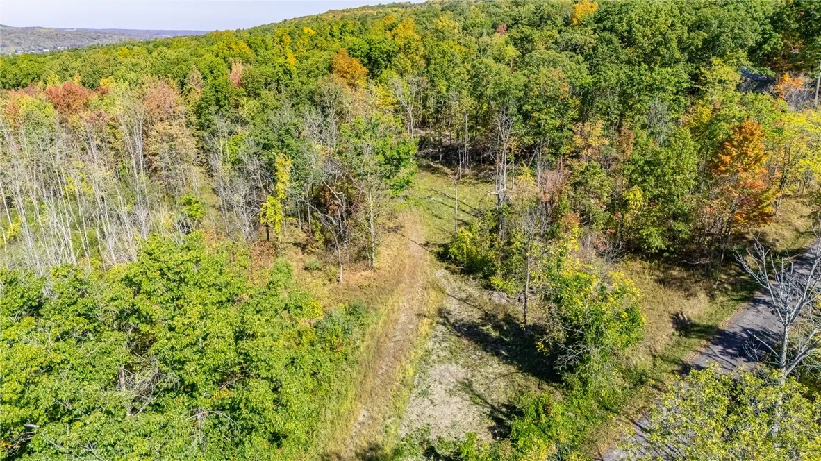 8302 Wesley Road, Richmond, New York 14471, Richmond, New York 14471, ,Land,For Sale,8302 Wesley Road, Richmond, New York 14471,0,R1646997