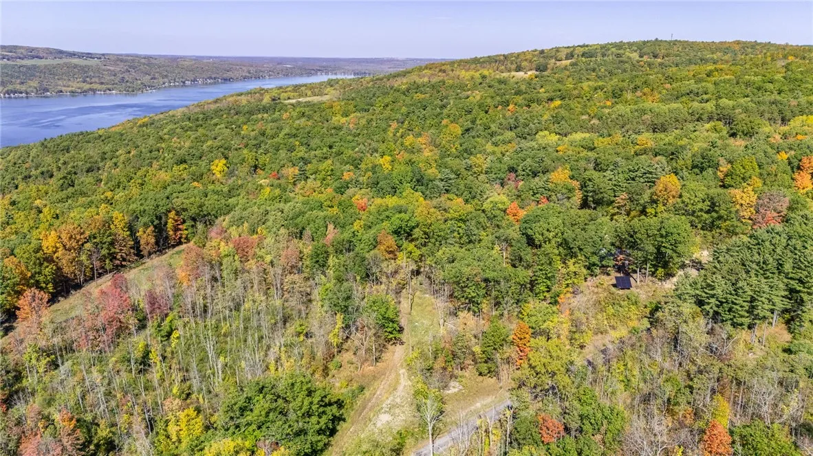 8302 Wesley Road, Richmond, New York 14471, Richmond, New York 14471, ,Land,For Sale,8302 Wesley Road, Richmond, New York 14471,0,R1646997