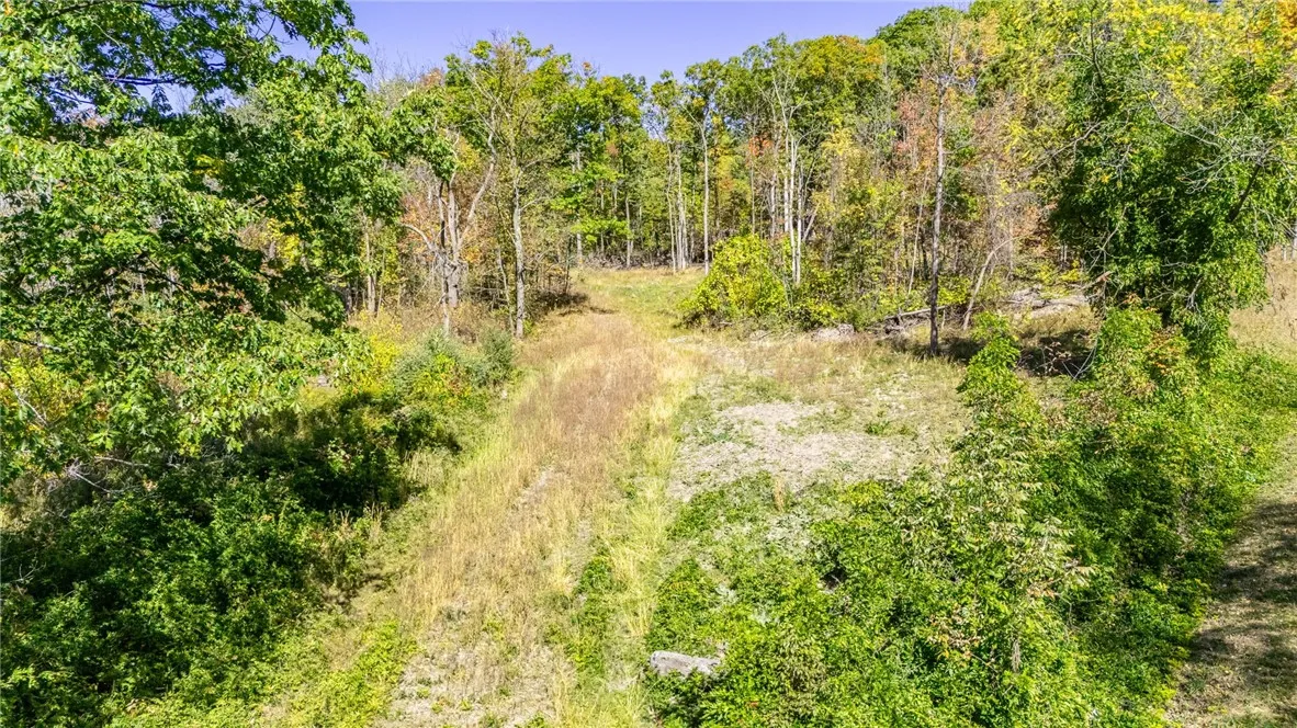 8302 Wesley Road, Richmond, New York 14471, Richmond, New York 14471, ,Land,For Sale,8302 Wesley Road, Richmond, New York 14471,0,R1646997