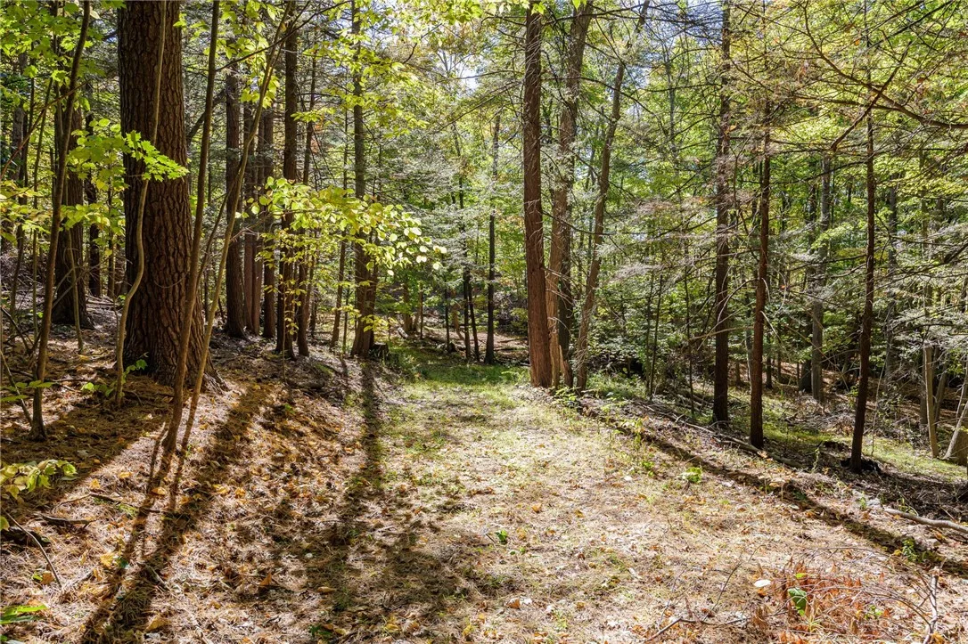 8302 Wesley Road, Richmond, New York 14471, Richmond, New York 14471, ,Land,For Sale,8302 Wesley Road, Richmond, New York 14471,0,R1646997