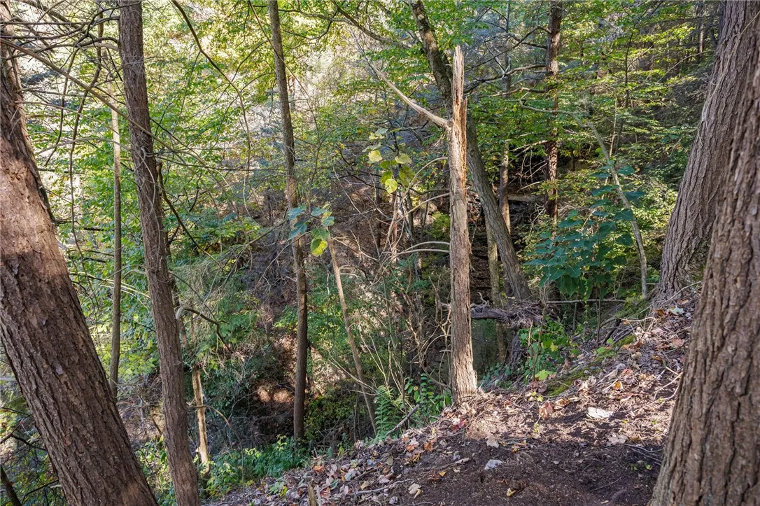 8302 Wesley Road, Richmond, New York 14471, Richmond, New York 14471, ,Land,For Sale,8302 Wesley Road, Richmond, New York 14471,0,R1646997