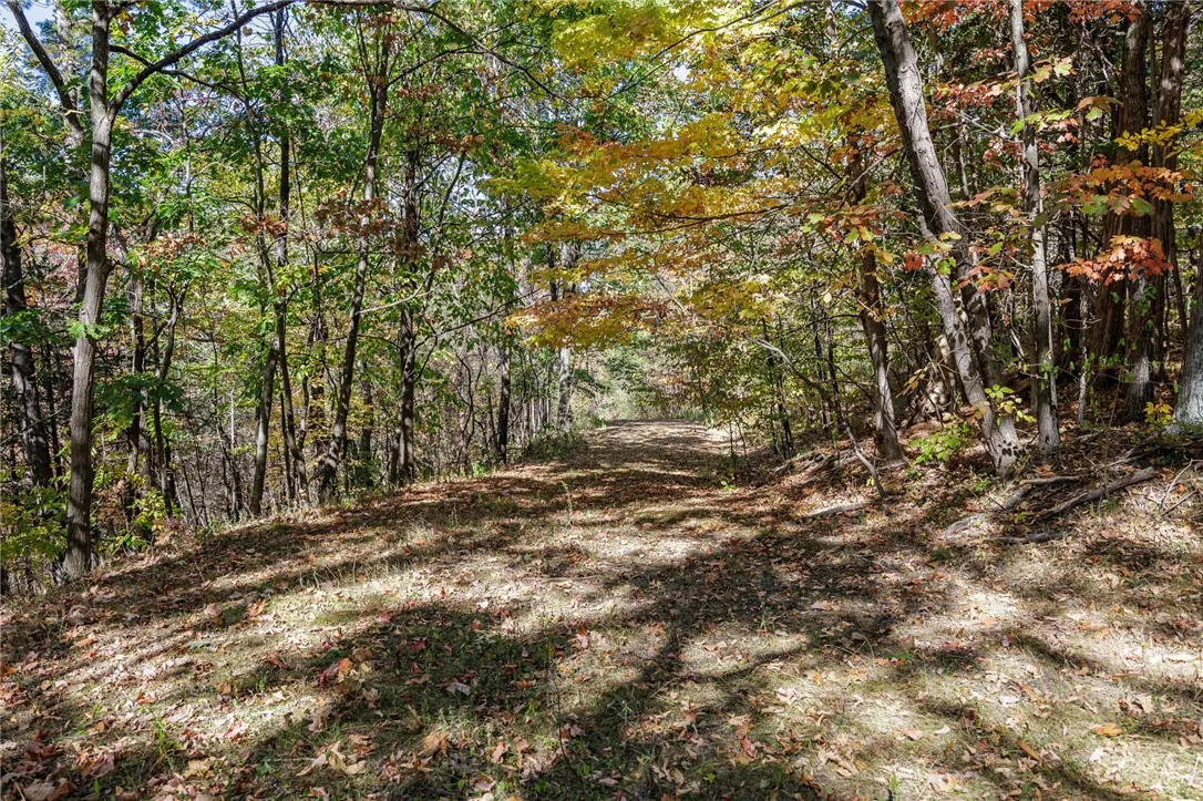 8302 Wesley Road, Richmond, New York 14471, Richmond, New York 14471, ,Land,For Sale,8302 Wesley Road, Richmond, New York 14471,0,R1646997