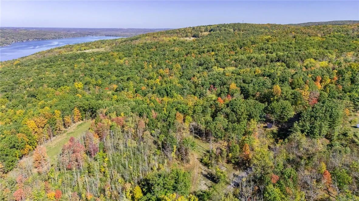 8302 Wesley Road, Richmond, New York 14471, Richmond, New York 14471, ,Land,For Sale,8302 Wesley Road, Richmond, New York 14471,0,R1646997