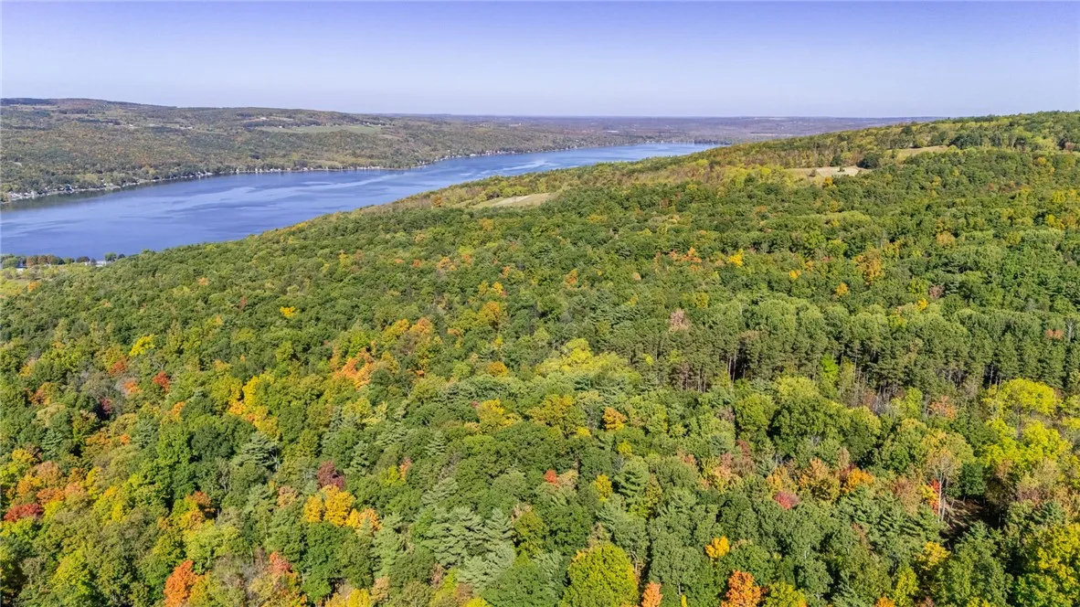 8302 Wesley Road, Richmond, New York 14471, Richmond, New York 14471, ,Land,For Sale,8302 Wesley Road, Richmond, New York 14471,0,R1646997