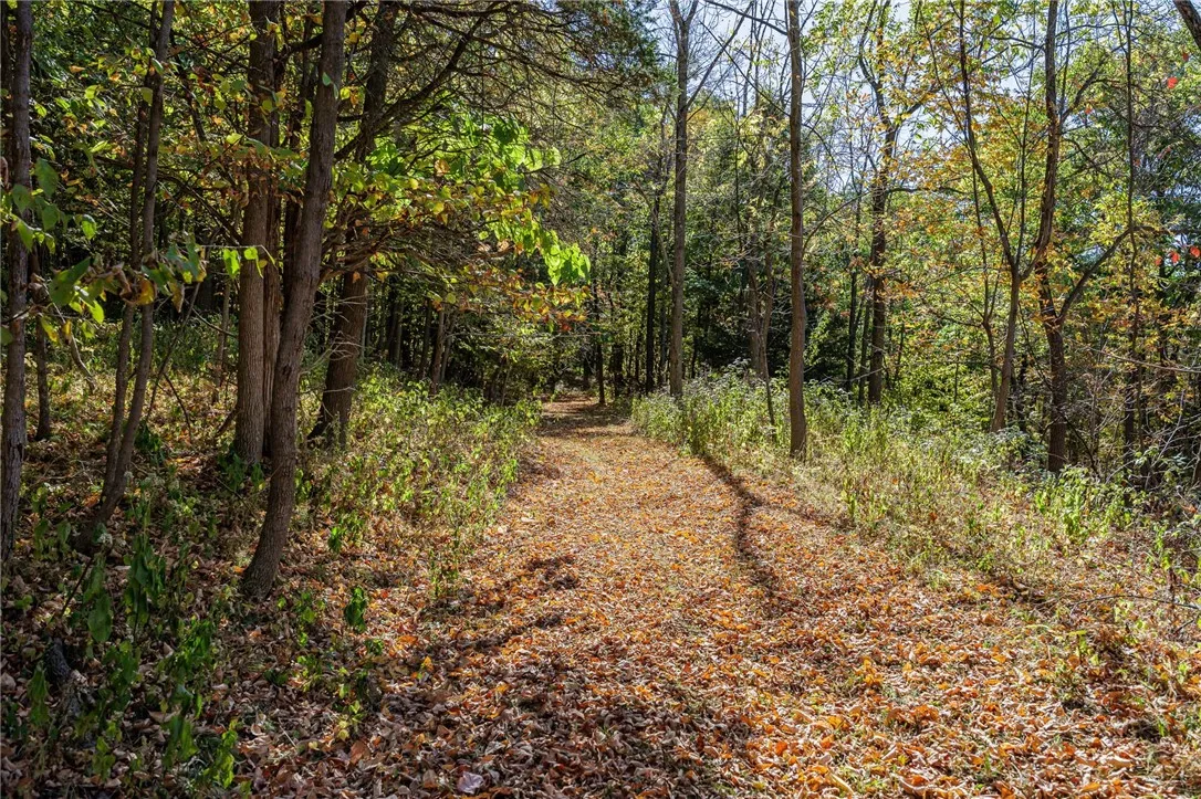 8302 Wesley Road, Richmond, New York 14471, Richmond, New York 14471, ,Land,For Sale,8302 Wesley Road, Richmond, New York 14471,0,R1646997