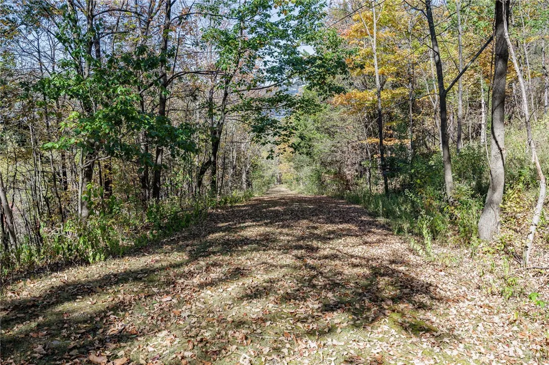 8302 Wesley Road, Richmond, New York 14471, Richmond, New York 14471, ,Land,For Sale,8302 Wesley Road, Richmond, New York 14471,0,R1646997