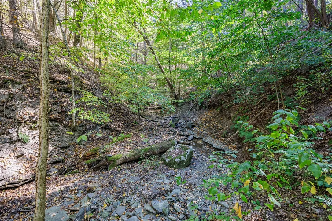 8302 Wesley Road, Richmond, New York 14471, Richmond, New York 14471, ,Land,For Sale,8302 Wesley Road, Richmond, New York 14471,0,R1646997