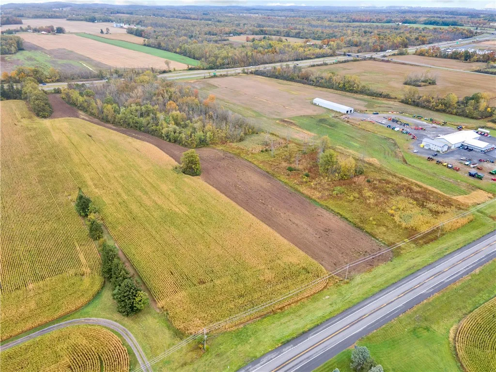 Rt-318, Junius, New York 13165, Junius, New York 13165, ,Land,For Sale,Rt-318, Junius, New York 13165,0,R1647792