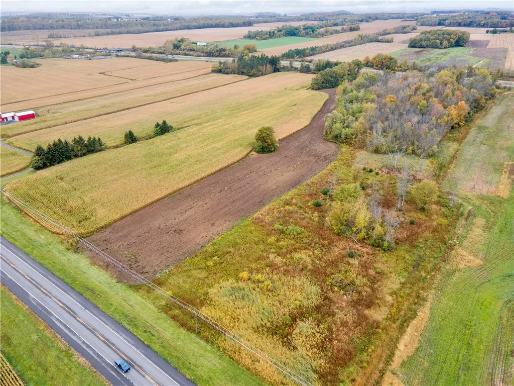 Rt-318, Junius, New York 13165, Junius, New York 13165, ,Land,For Sale,Rt-318, Junius, New York 13165,0,R1647792
