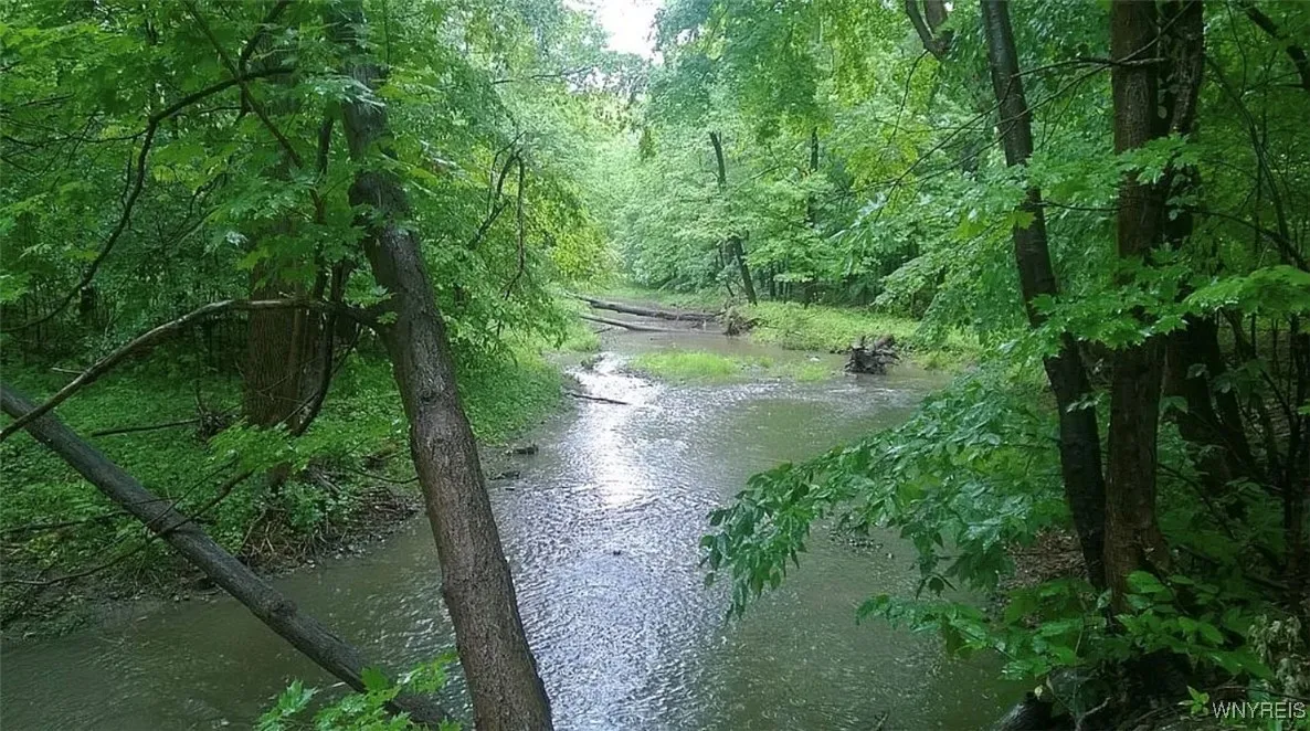 Vl Clinton Street, Elma, New York 14059, Elma, New York 14059, ,Land,For Sale,Vl Clinton Street, Elma, New York 14059,0,B1647770