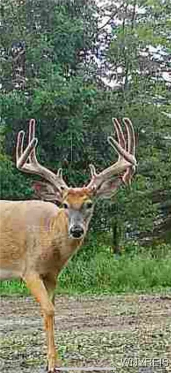 Vl Clinton Street, Elma, New York 14059, Elma, New York 14059, ,Land,For Sale,Vl Clinton Street, Elma, New York 14059,0,B1647770