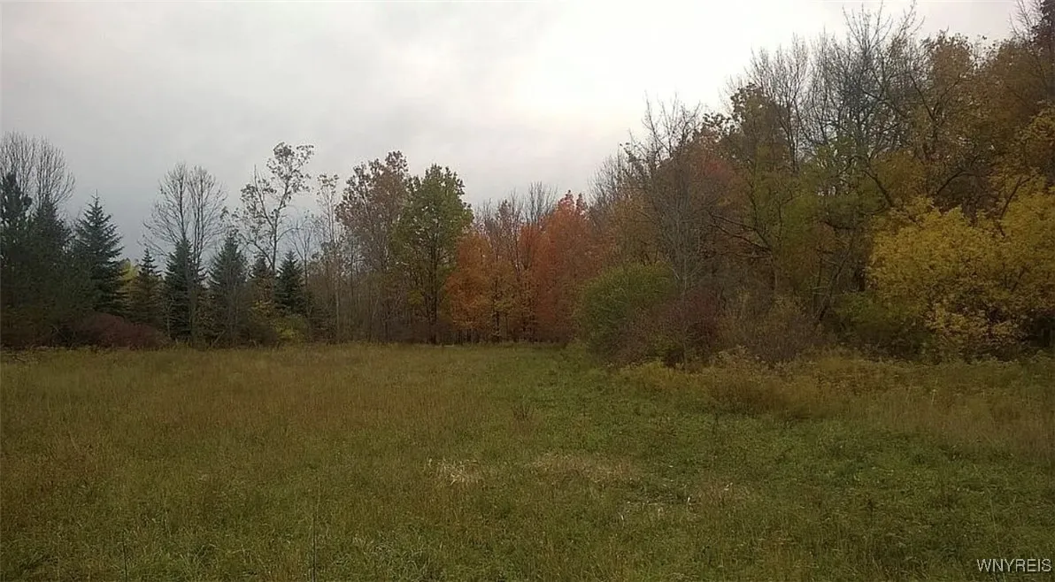 Vl Clinton Street, Elma, New York 14059, Elma, New York 14059, ,Land,For Sale,Vl Clinton Street, Elma, New York 14059,0,B1647770