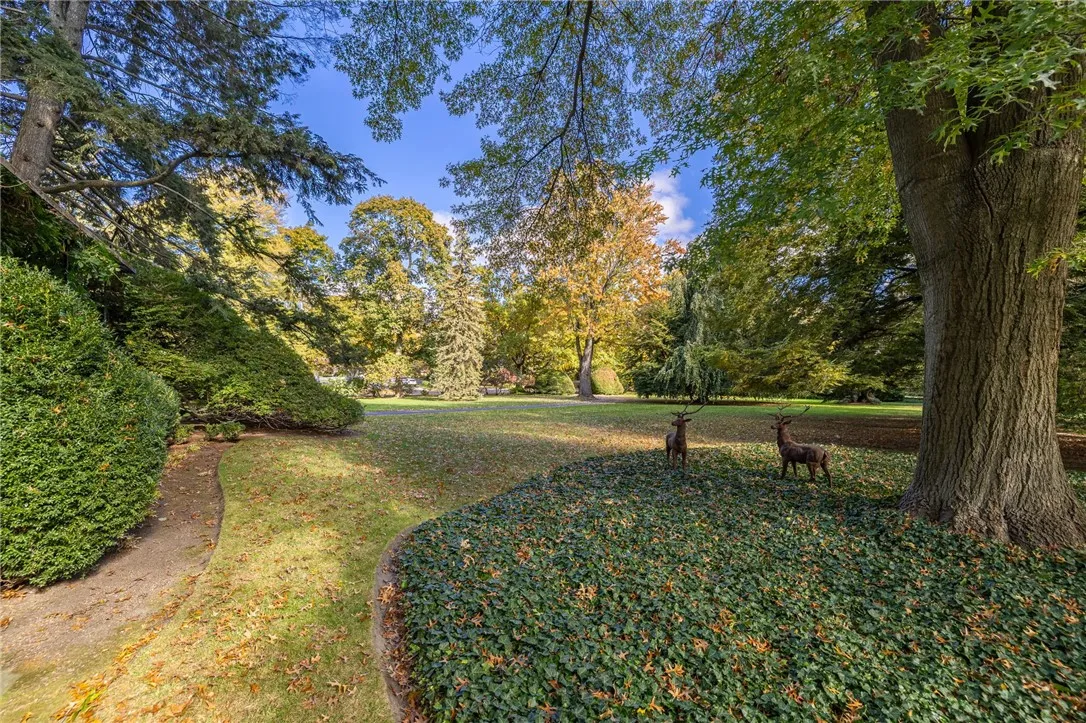 1397 East Avenue 3, Rochester, New York 14610, Rochester, New York 14610, 2 Bedrooms Bedrooms, 6 Rooms Rooms,2 BathroomsBathrooms,Residential Lease,For Rent,1397 East Avenue 3, Rochester, New York 14610,0,R1647132