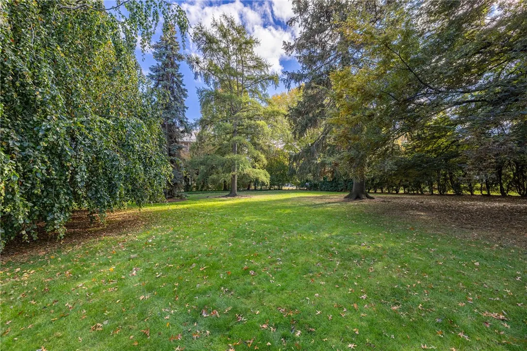 1397 East Avenue 3, Rochester, New York 14610, Rochester, New York 14610, 2 Bedrooms Bedrooms, 6 Rooms Rooms,2 BathroomsBathrooms,Residential Lease,For Rent,1397 East Avenue 3, Rochester, New York 14610,0,R1647132