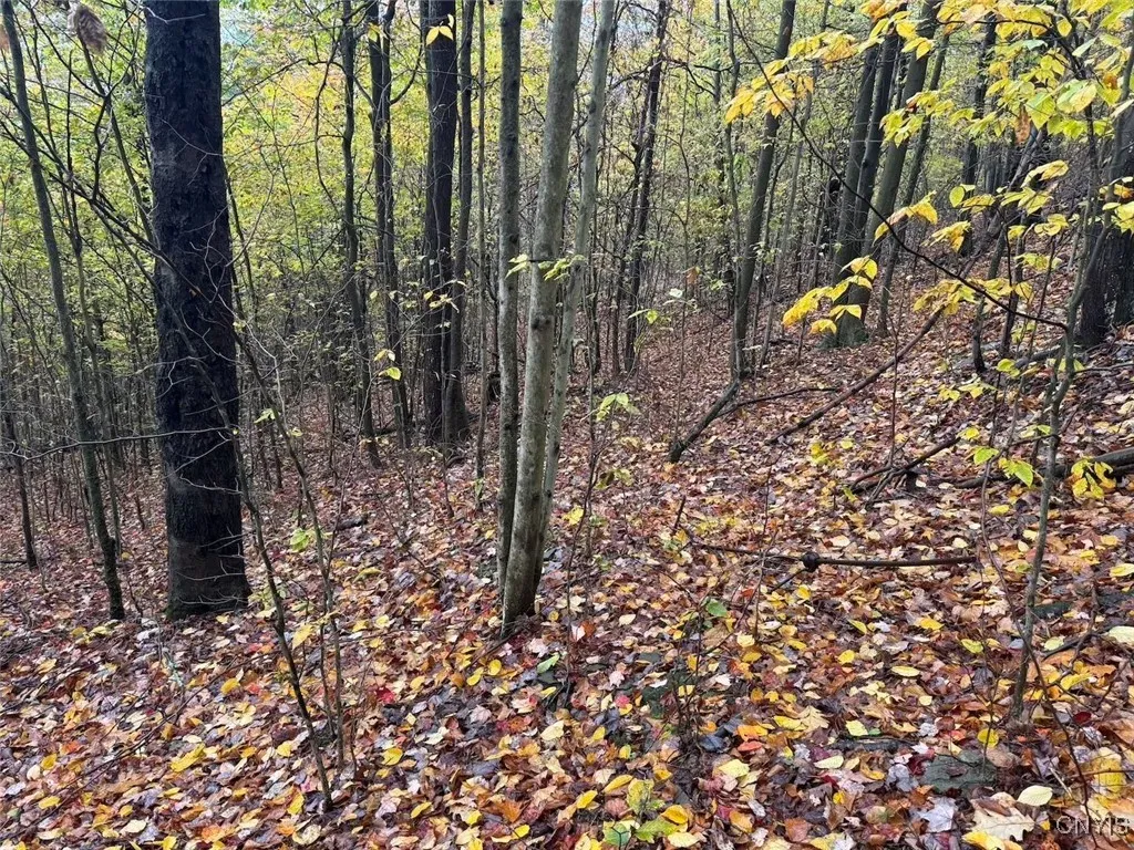 Co Rd 5, Genesee, New York 14770, Genesee, New York 14770, ,Land,For Sale,Co Rd 5, Genesee, New York 14770,0,S1647808