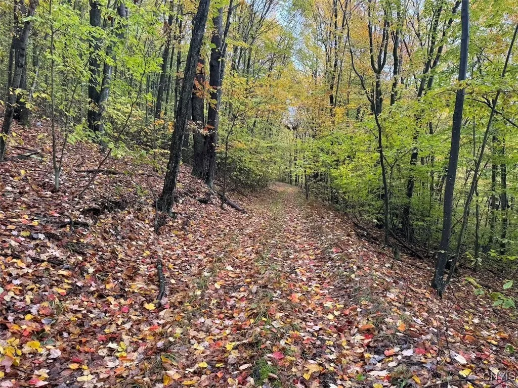 Co Rd 5, Genesee, New York 14770, Genesee, New York 14770, ,Land,For Sale,Co Rd 5, Genesee, New York 14770,0,S1647808