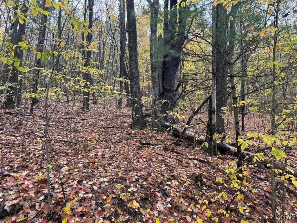 Co Rd 5, Genesee, New York 14770, Genesee, New York 14770, ,Land,For Sale,Co Rd 5, Genesee, New York 14770,0,S1647808