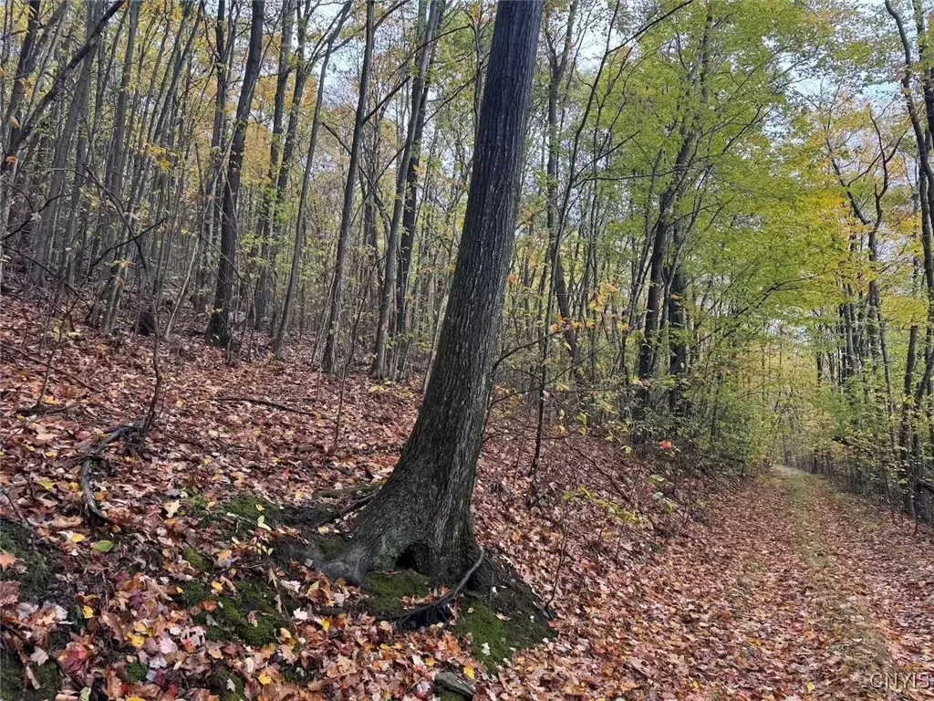 Co Rd 5, Genesee, New York 14770, Genesee, New York 14770, ,Land,For Sale,Co Rd 5, Genesee, New York 14770,0,S1647808