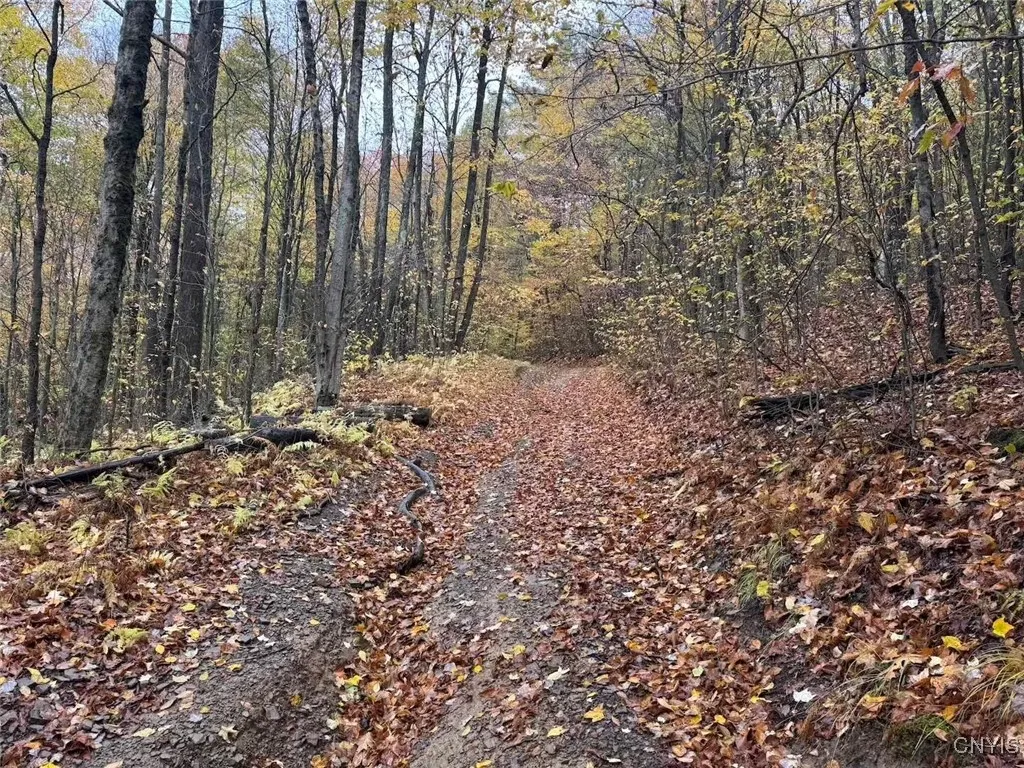 Co Rd 5, Genesee, New York 14770, Genesee, New York 14770, ,Land,For Sale,Co Rd 5, Genesee, New York 14770,0,S1647808