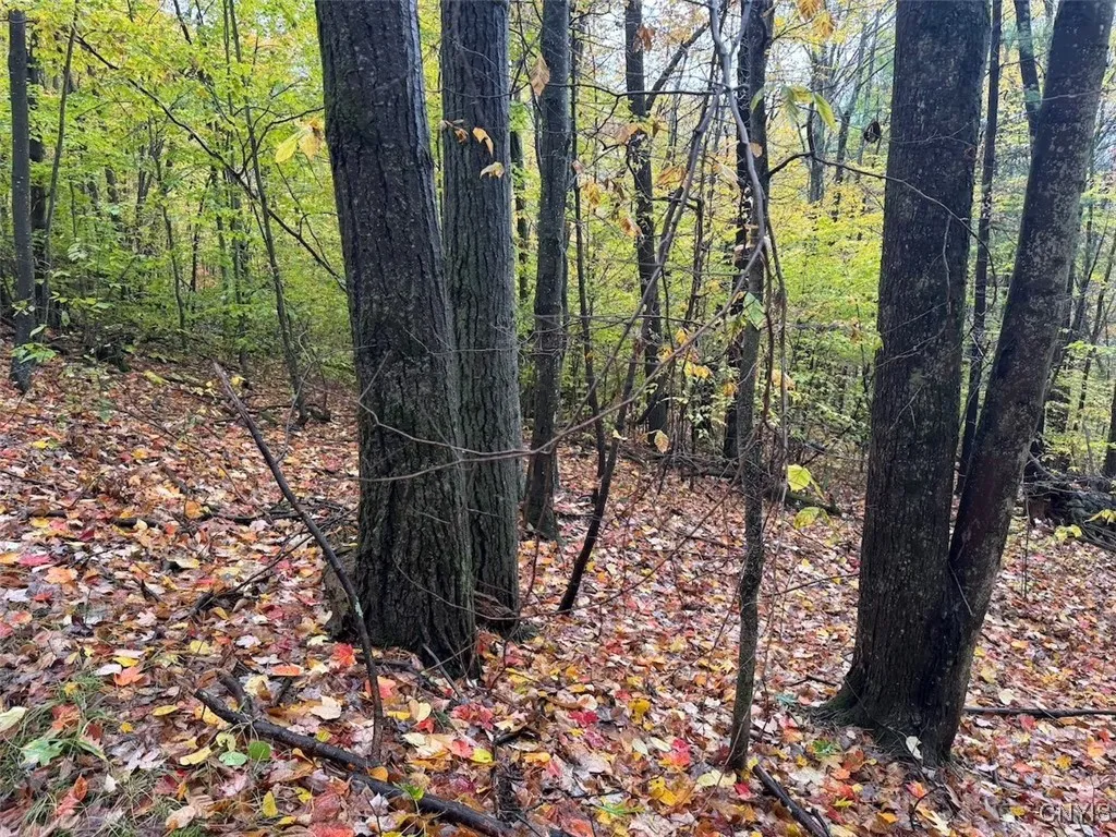 Co Rd 5, Genesee, New York 14770, Genesee, New York 14770, ,Land,For Sale,Co Rd 5, Genesee, New York 14770,0,S1647808