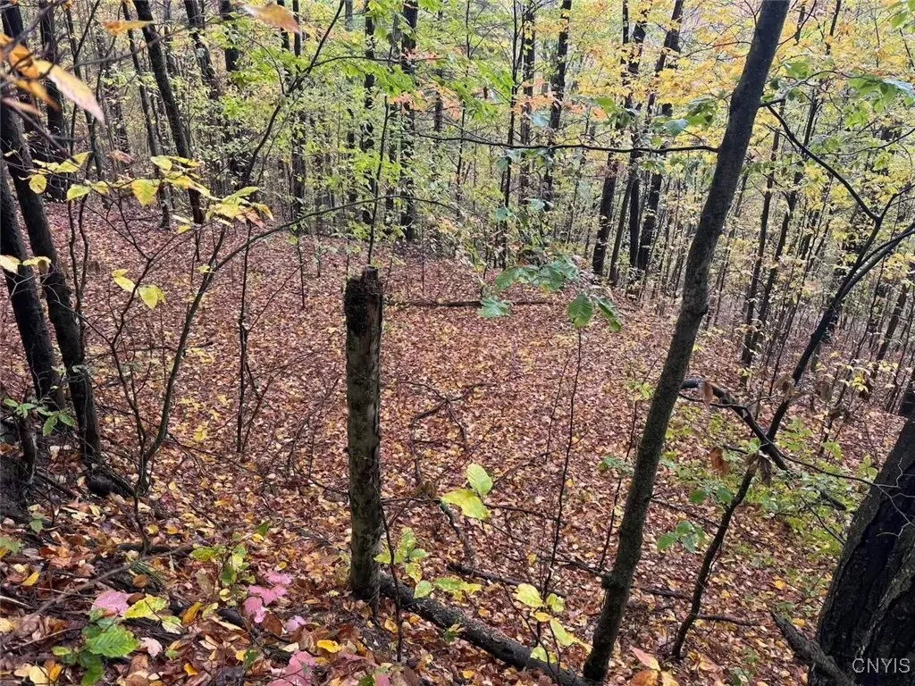 Co Rd 5, Genesee, New York 14770, Genesee, New York 14770, ,Land,For Sale,Co Rd 5, Genesee, New York 14770,0,S1647808