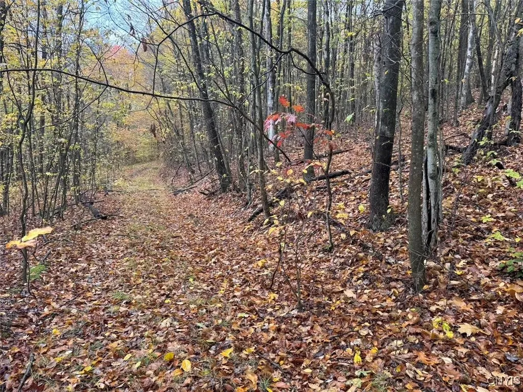 Co Rd 5, Genesee, New York 14770, Genesee, New York 14770, ,Land,For Sale,Co Rd 5, Genesee, New York 14770,0,S1647808